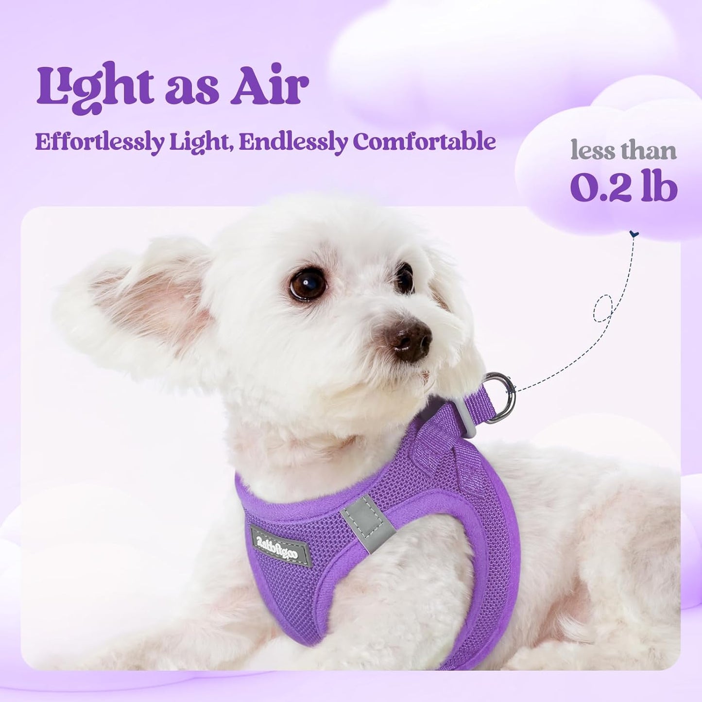 rabbitgoo Dog Harness Small Sized and Leash Set, Step in Soft Light Puppy Vest, Breathable Mesh Pet Harness, Reflective for Outdoor Safe Walking, Purple XXL