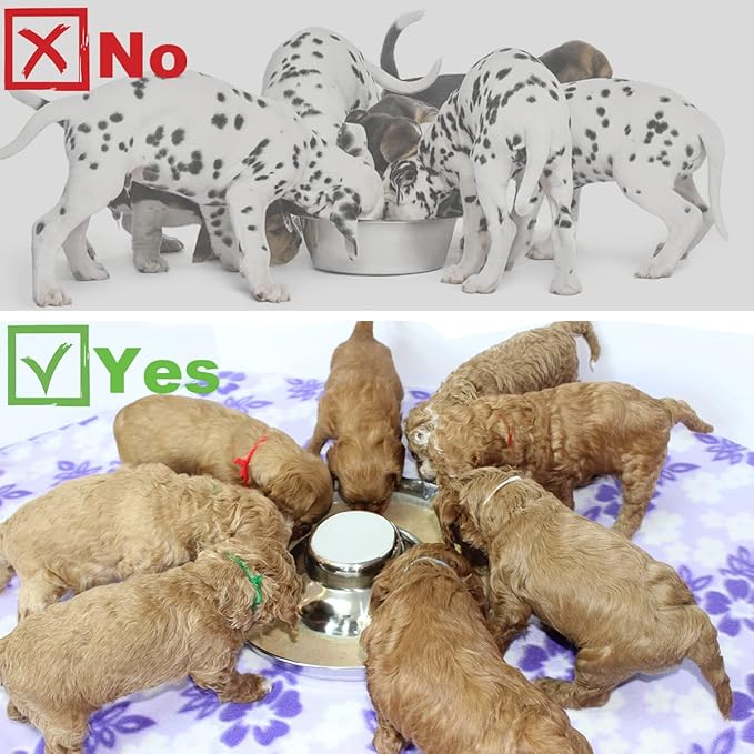Stainless Steel Puppy Dog Bowls, Pets Puppies Feeding Food and Water Weaning Bowls Dishes Feeder, 11.8 Inch