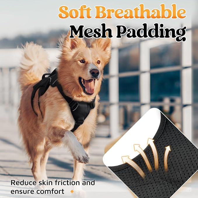 rabbitgoo Escape Proof Dog Harness, Soft Padded Full Body Pet Harness, Reflective Adjustable No Pull Vest with Lift Handle and Leash Clip for Large Dogs Walking Hiking Training, M, Black