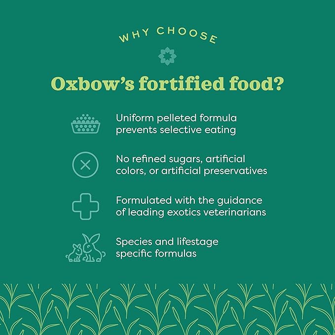 Oxbow Essentials Adult Guinea Pig Food - All Natural Adult Guinea Pig Pellets- No Artificial Ingredients- Veterinarian Recommended- All Natural Vitamins & Minerals- Made in the USA - 25 lb.
