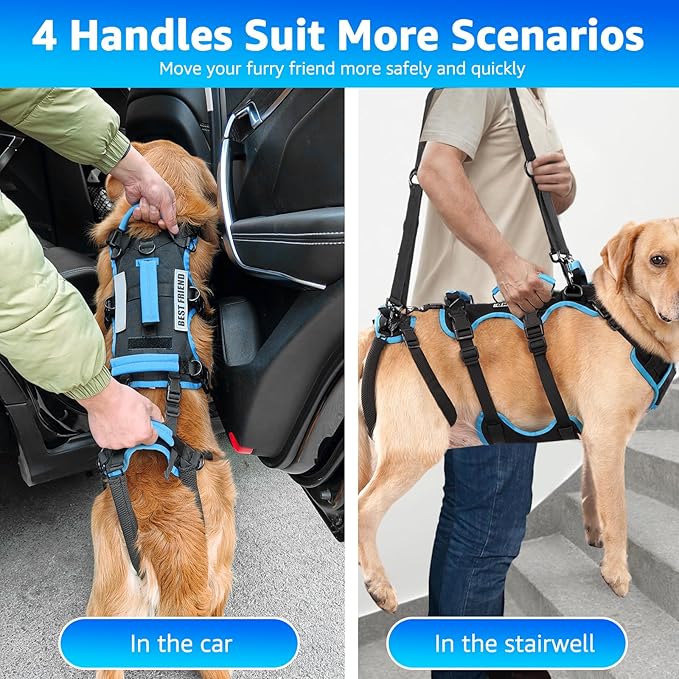 Dog Lift Harness for Large Male Dogs, 2-in-1, Back Leg Support & Mobility Assistance for Senior Dogs, Post-Surgery Recovery Sling(Black, Large)