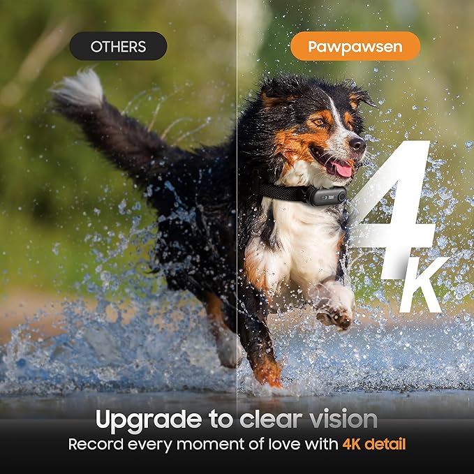 4K UHD Cat& Dog Pet Camera Collar, Video Recorder with Phone App Live View, Outdoor & Indoor POV Action Cam for Kitty and Big Cats(White - Pink Waterproof Collar - S, 128g)
