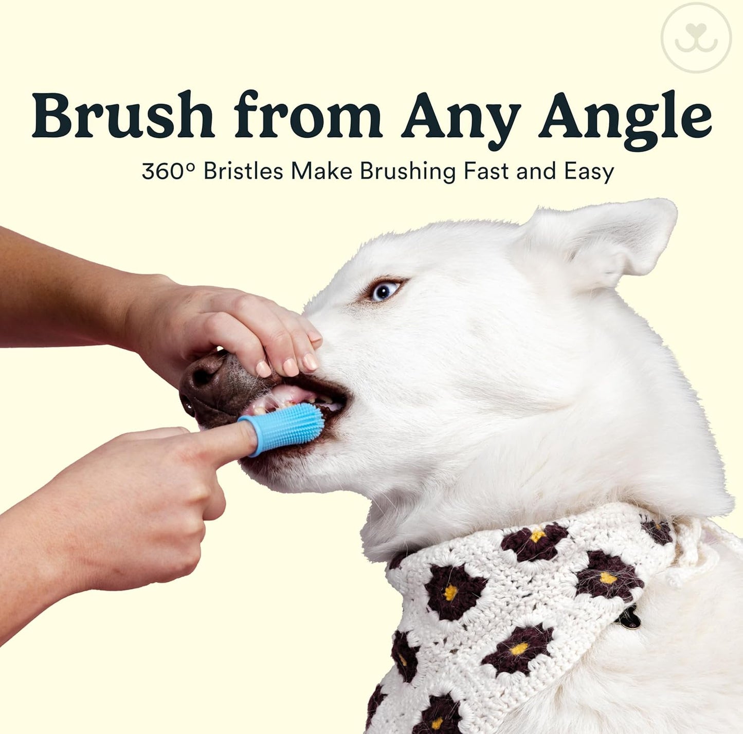 Jasper Large Dog Toothbrush, 360 Degree Pet Tooth Brushing Kit, Cat Toothbrush, Canine Dental Care & Teeth Cleaning Kit, Pet Finger Tooth Brush, Use with Dog Toothpaste, 2-Pack Navy-Blue Large