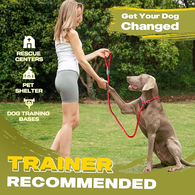 Fida Durable Slip Lead Dog Leash, 6 FT x 1/2" Heavy Duty Comfortable Strong Rope Slip Lead for Large, Medium Dogs, No Pull Pet Training Leash with Highly Reflective, Red