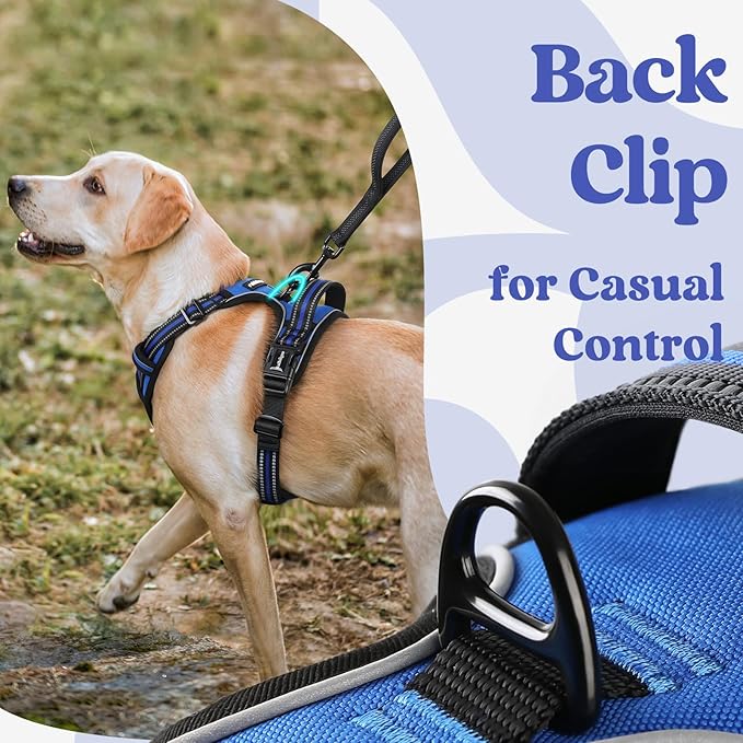 rabbitgoo Dog Harness Small Sized, No Pull Pet Harness with 3 Buckles, Adjustable Soft Padded Vest with Control Handle, Walking Reflective Pet Vest for Small Dogs, Blue, S