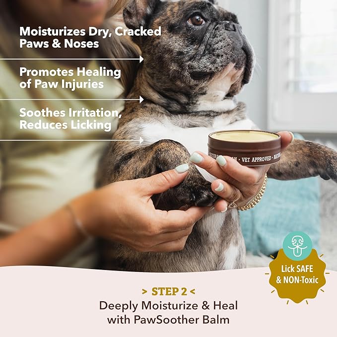 Natural Dog Company PawTection Dog Paw Balm, 4 Pack, Protects Paws from Hot Surfaces, Sand, Salt, & Snow, Organic, All Natural Ingredients (0.15 oz Travel Stick) X 4