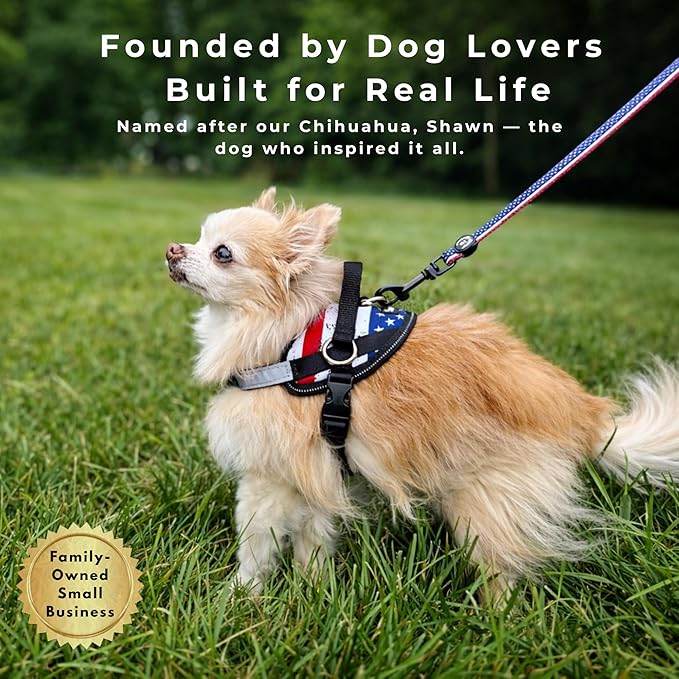 ShawnCo Essential Dog Harness, No-Pull Pet Vest with 3 Leash Clips, No Choke, Reflective, Adjustable and Padded, for Easy Walking and Training for Small, Medium and Large Dogs (Oceanic Blue, L)