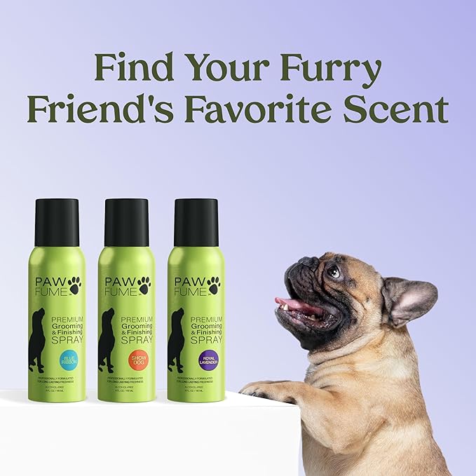 PAWFUME Dog Detangler Grooming Spray, Royal Lavender, 1-Pack – Keeps Pups Fresh All Day – Hypoallergenic, Alcohol-Free, Detangling & Moisturizing – Salon-Quality Dog Necessities for Coat & Fur Care