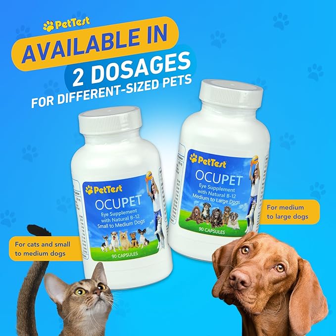 Ocupet Advanced Vision and Eye Health Supplement for Medium to Large Dogs Packed with Natural B12, Grape Seed Extract and Lutein to Support Pets with Diabetes or Eye Related Conditions-90 Capsules