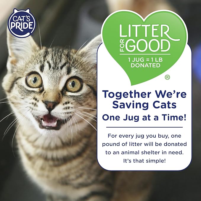 Cat's Pride Max Power: UltraClean Low Tracking Multi-Cat Clumping Litter - Keeps Paws & Home Clean - Up to 10 Days of Powerful Odor Control - 99% Dust Free - Fresh Scent, 15 Pounds