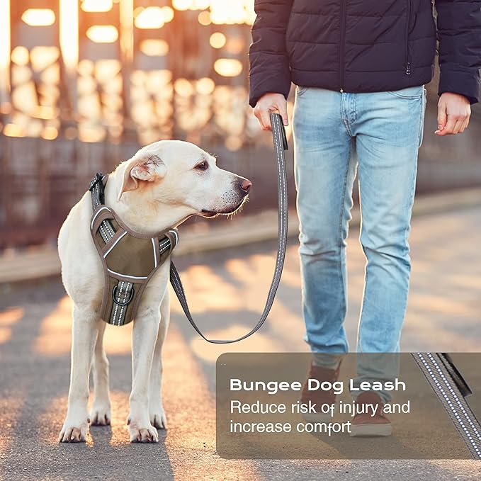 No Pull Dog Harness for Small Dogs, Adjustable No Choke Pet Vest with Dog Leash Fit Smart Reflective Pet Walking Harness for Training Easy Control Soft Handle Brown S