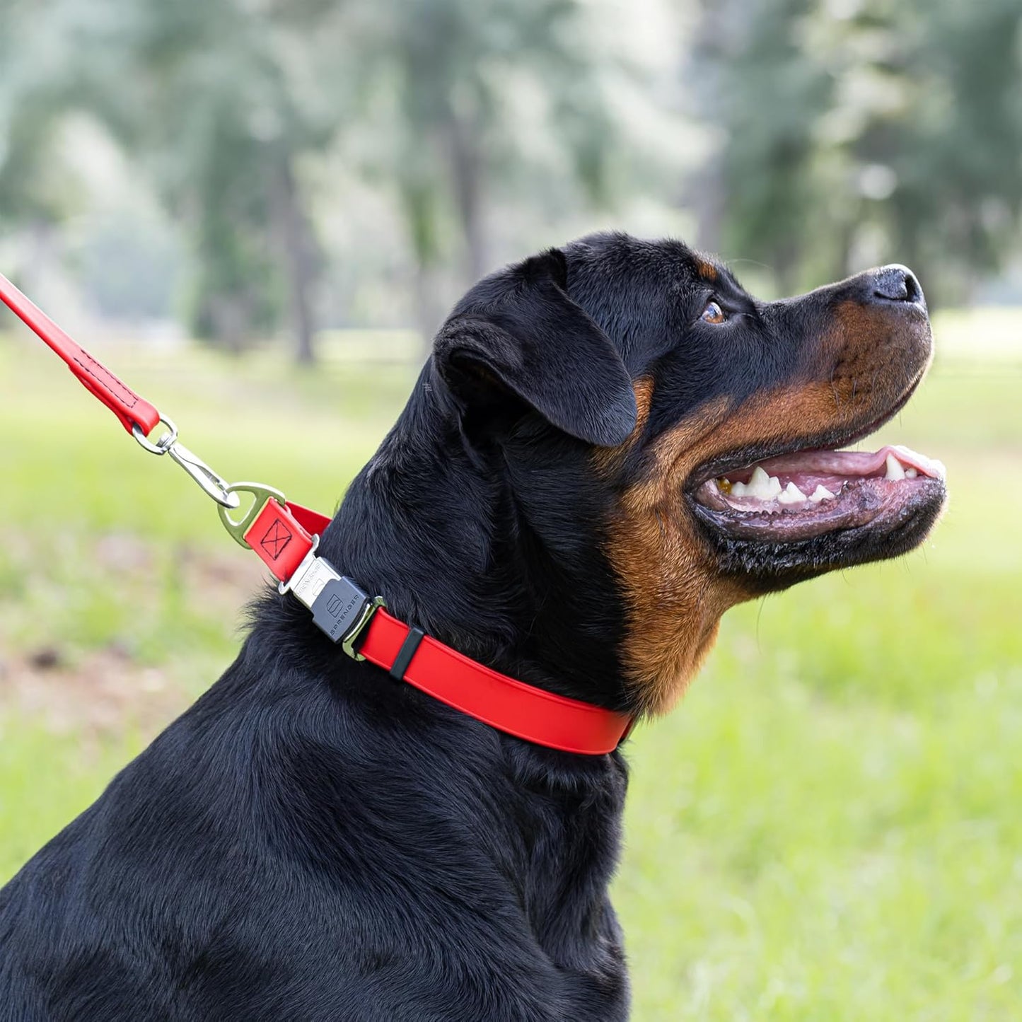 Dogline Biothane Waterproof Dog Collar with Herm Sprenger Stainless Steel Quick Release Buckle – Heavy Duty Tactical Durable Collar for Dogs – Comfortable and Safe Pet Collar, W 1" L 15-25", Red
