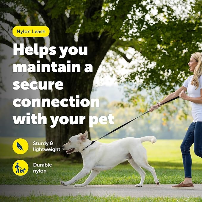 PetSafe Nylon Leash - Helps Maintain Secure Connection on Walks - Durable Pet Leash with Easy Clip - 3/4 in. x 6 ft. - Deep Purple