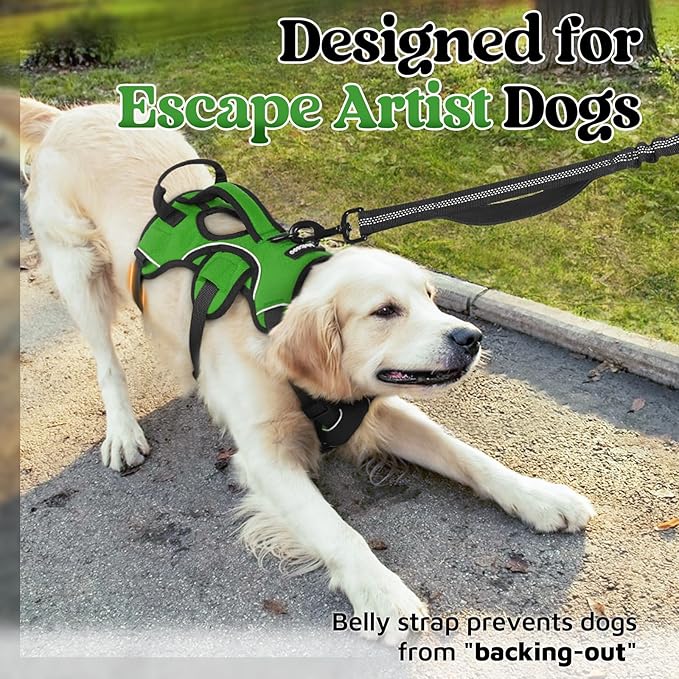rabbitgoo Escape Proof Dog Harness, Soft Padded Full Body Pet Harness, Reflective Adjustable No Pull Vest with Lift Handle and Lesh Clip for Large Dogs Walking Hiking Training, M, Green