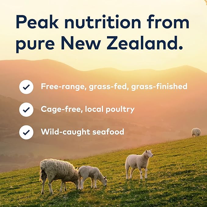 ZIWI Peak Air-Dried Cat Food – Lamb - All Natural, High Protein, Grain Free, Limited Ingredient w/ Superfoods (14oz)