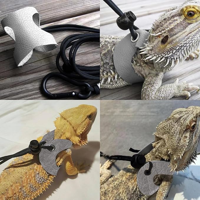 Leopard Gecko Portable Carrier with Leather Harness and Leash Set,Small Animal Travel Cage with Transparent Window,Lizard Carrier for Hamster Rabbit Gerbil Hedgehog Sugar Glider