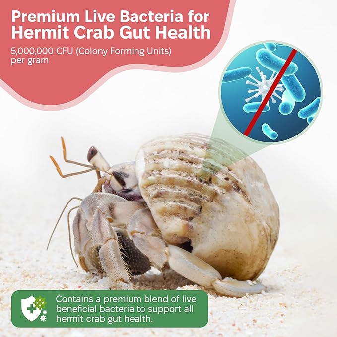 Probiotic Supplement for Hermit Crabs – 5 Billion CFU/g for Bioactive Tank Support – Gut Health and Substrate Booster – Made in USA – Safe Beneficial Bacteria for Crabitats