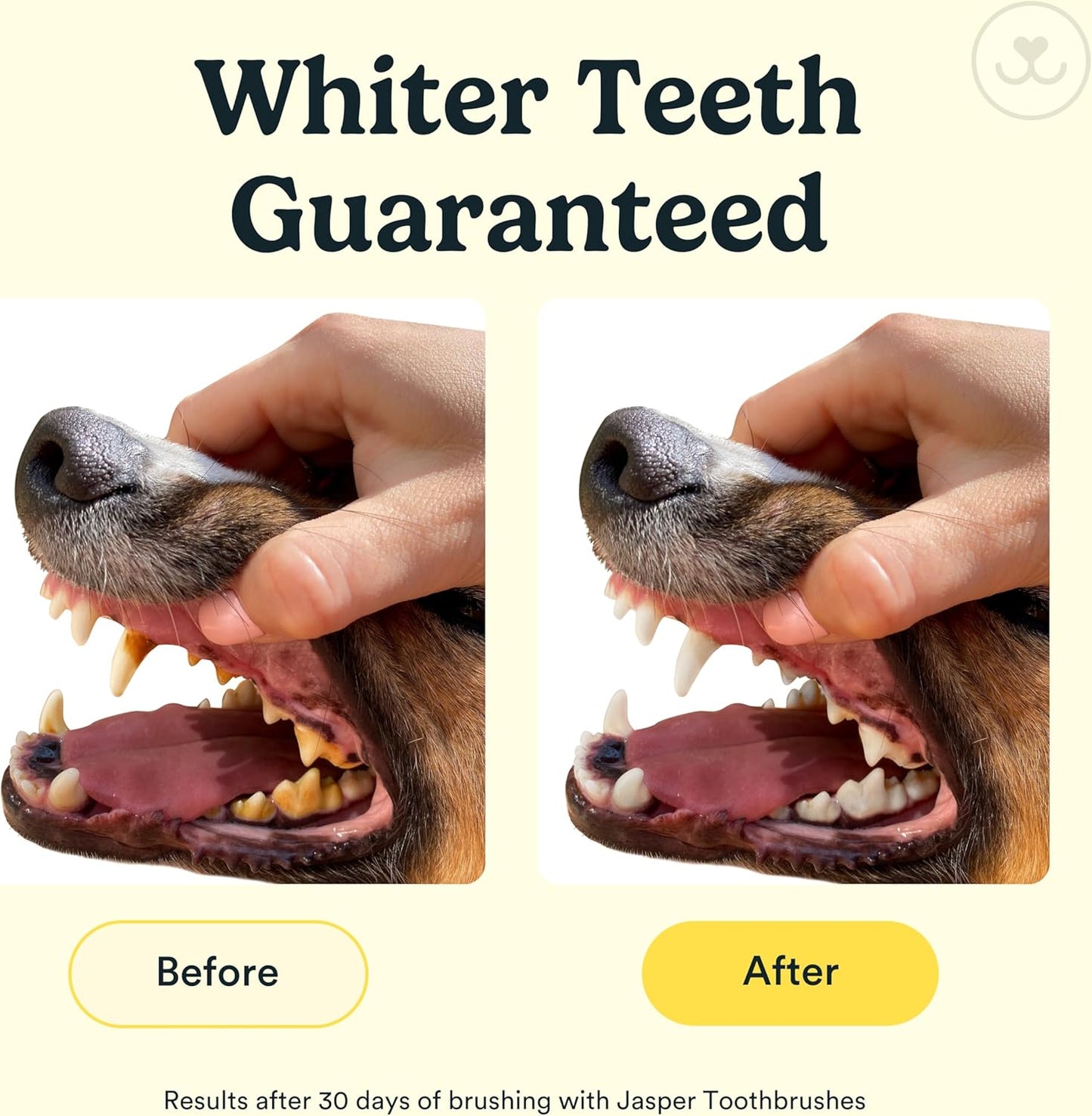 Jasper Dog Toothbrush, 360º Dog Tooth Brushing Kit, Cat Toothbrush, Dog Teeth Cleaning, Dog Finger Toothbrush, Dog Tooth Brush for Small & Large Pets, Dog Toothpaste Not Included, 4-Pack Blue