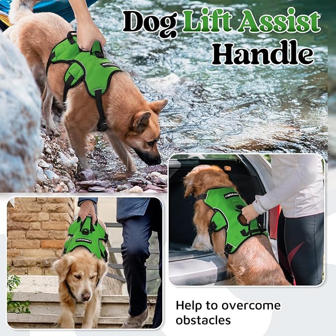 rabbitgoo Escape Proof Dog Harness, Soft Padded Full Body Pet Harness, Reflective Adjustable No Pull Vest with Lift Handle and Lesh Clip for Large Dogs Walking Hiking Training, M, Green