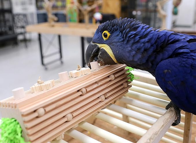 Activity Block - Large Parrot Toy