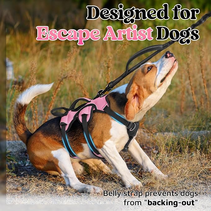 rabbitgoo Escape Proof Dog Harness Small Sized Dog, Soft Padded Full Body Pet Harness, Reflective Adjustable Vest with Lift Handle and Leash Clip for Walking Hiking Training, Light Pink, S