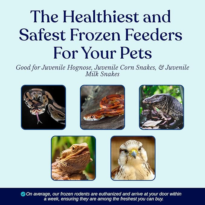 MiceDirect EST. 2003 150 Frozen Mice Fuzzie Feeders Snake Food for Juvenile Hognose Corn milks (1.25-1.5 in) (600 Grams Min)