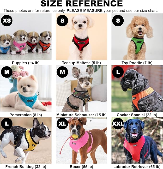 Puppia Soft Dog Harness No Choke Over-The-Head Triple Layered Breathable Mesh Adjustable Chest Belt and Quick-Release Buckle, Sky Blue, X-Large (Pack of 2)