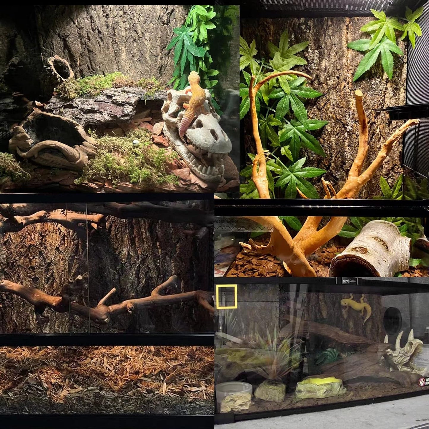 Tfwadmx Terrarium Cork Bark Background, 11.8"x7.8" Thickened Reptile Tank Tree Backdrop Wall Decor Habitat Climbing Mat Decoration for Lizard, Turtle, Gecko, Bearded Dragon, Frog, Chameleon
