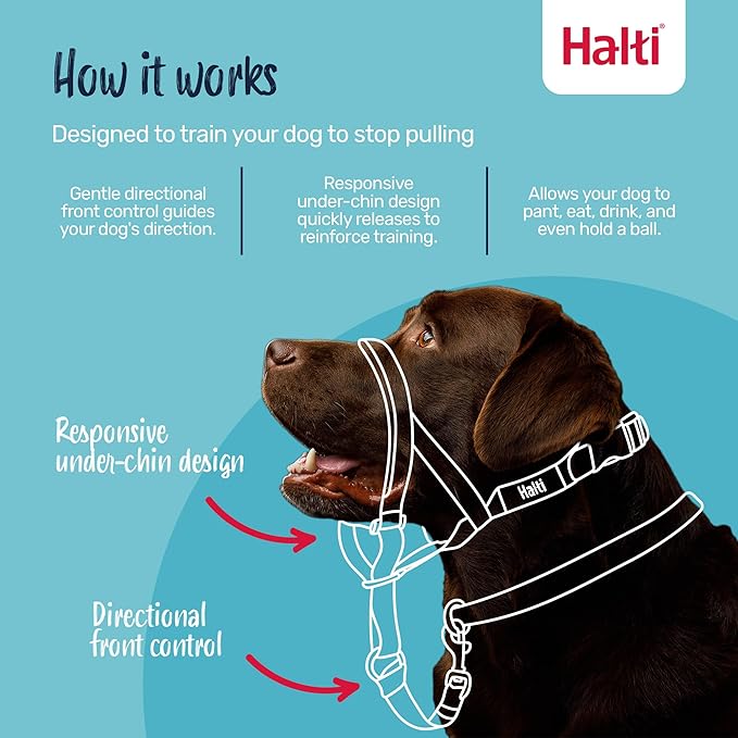 Halti Headcollar Size 5, Black & Halti Training Leash Size Large, Black Combination Pack - Stop Your Dog Pulling on the Leash. Adjustable, Lightweight with Padded Nose Band. Suitable for Large Dogs