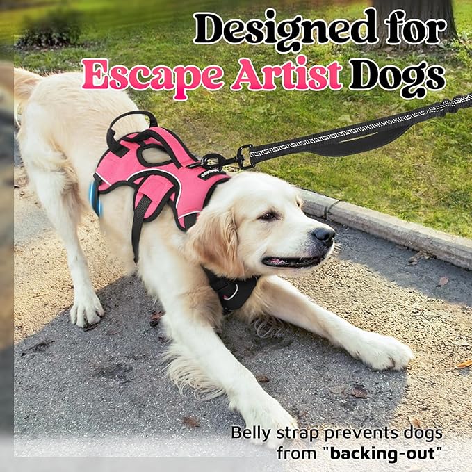 rabbitgoo Escape Proof Dog Harness, Soft Padded Full Body Pet Harness, Reflective Adjustable No Pull Vest with Lift Handle and Leash Clip for Large Dogs Walking Hiking Training, M, Pink