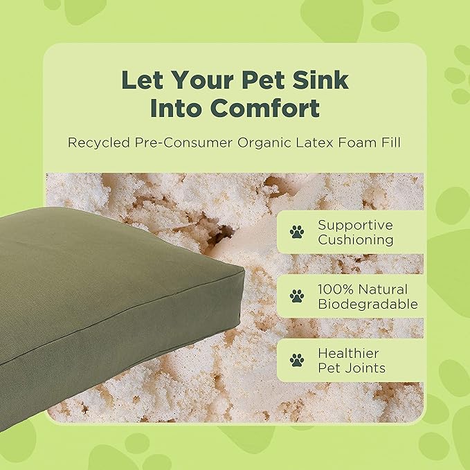 XX-Large - 54 x 36 x 6 - Cactus Premium Organic Hemp Dog Bed - Organic Latex Fill - Removeable Cover
