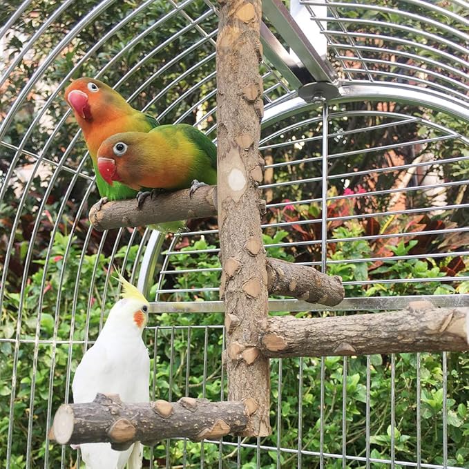 Bird Perch Nature Wood Stand for 3-4pcs Small Medium Parrots (S)