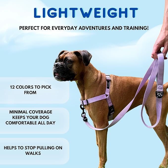 ShawnCo Dream Walk No-Pull Dog Harness- Adjustable, Comfortable, Easy to Use Pet Halter to Help Stop Pulling for Small, Medium and Large Dogs (Seafoam, L)