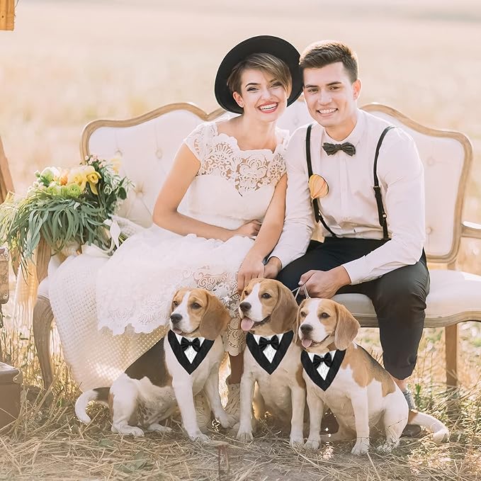 ADOGGYGO Formal Dog Tuxedo, Wedding Dog Bandana Collar with Bowtie, Adjustable Puppy Birthday Wedding Tux Outfit for Small Dogs Pets (S, Black)