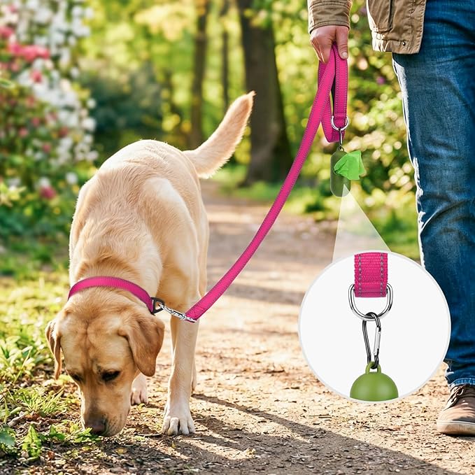 Joytale Dog Leash, 5 FT Double-Sided Reflective, Padded Handle Nylon Heavy Duty Leashes for Medium & Large Dogs Walking, Hotpink