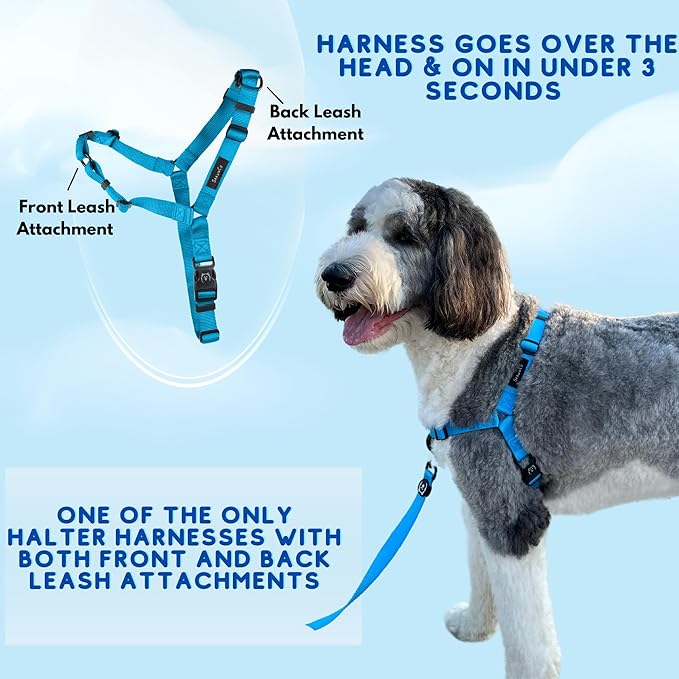 ShawnCo Dream Walk No-Pull Dog Harness- Adjustable, Comfortable, Easy to Use Pet Halter to Help Stop Pulling for Small, Medium and Large Dogs (Moonglow, S)