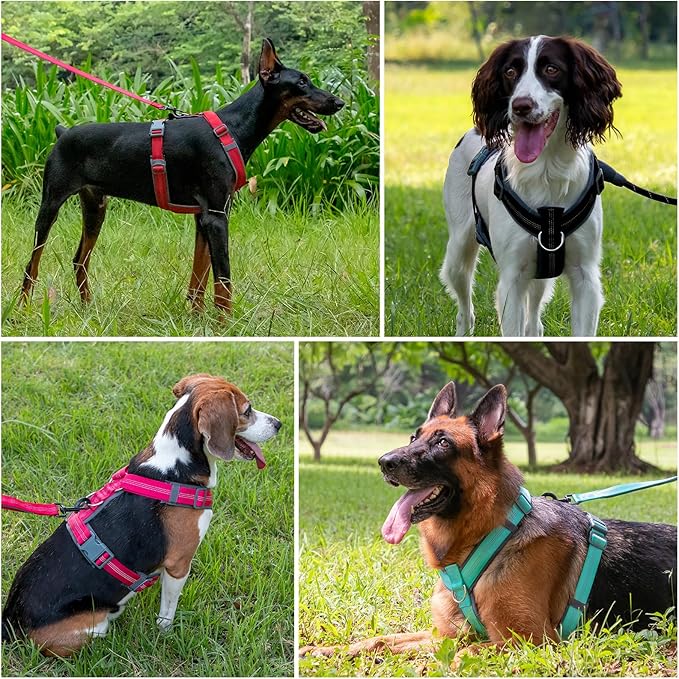 Plutus Pet No Pull Dog Harness, Adjustable Nylon Harness with Soft Padding, Reflective and Heavy Duty Dog Harness for Small, Medium, Large Dogs(Cyan, XS)
