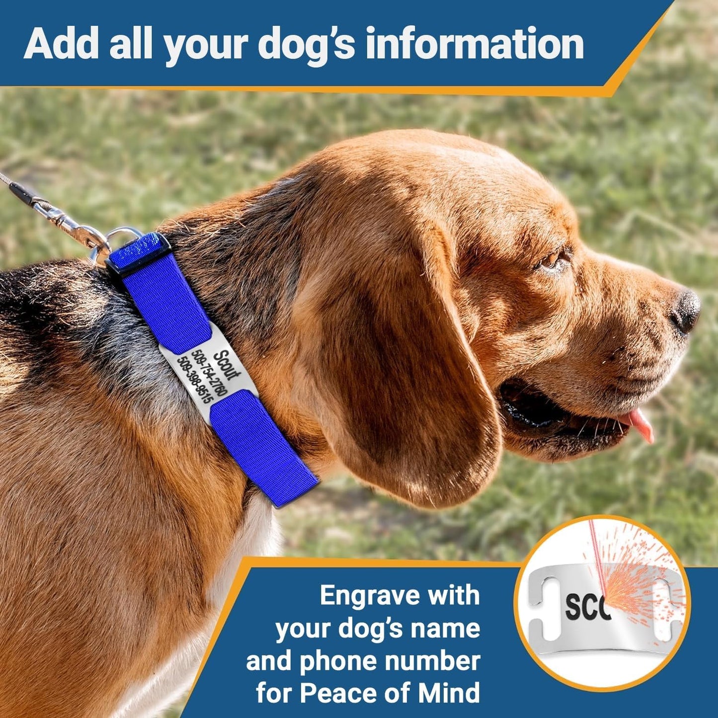 GoTags Reflective Personalized Dog Collar with Nameplate, Adjustable Dog Collar with Custom Engraved Steel Slide On Pet ID Tag, Silent, No Noise Dog Tag for Large Medium or Small (Charcoal, Large)