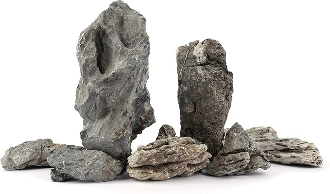 LANDEN Seiryu Stones Natural Rocks (17lbs, 3~11 inches,7-8pcs) for Aquarium, Paludarium, Terrariums, Landscaping Rocks, Aquascaping