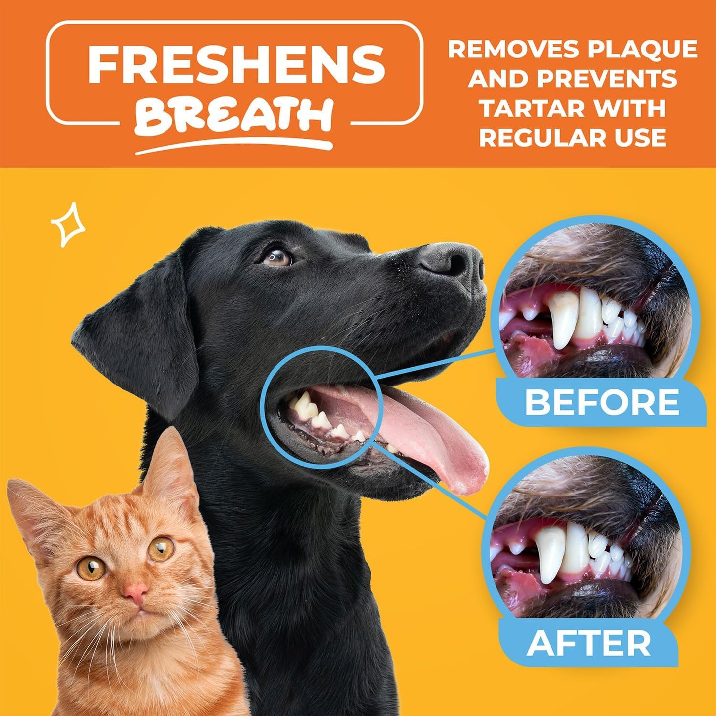 Dog Teeth Cleaning Wipes - Dental Finger Wipes for Dogs & Cats - Pet Toothbrush & Tooth Brushing Kit - Effective Teeth Cleaner (Mint)