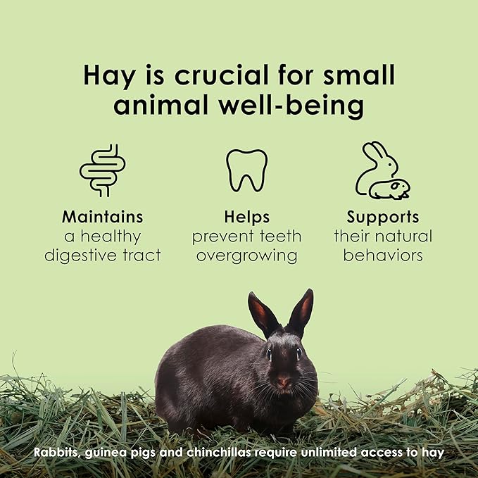 Kaytee Timothy Hay, High Fiber, Grown Specifically for Small Animals, Rabbits, Guinea Pigs, Chinchillas, Ideal Bulk Order for Small Pets, 24 pounds