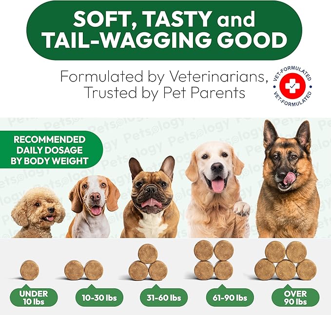 Glucosamine for Dogs - Hip and Joint Supplement for Dogs - 170 Mobility Chews - Glucosamine Chondroitin - MSM - Turmeric - Joint Pain Relief - Advanced Support for Dog Health - Made in USA