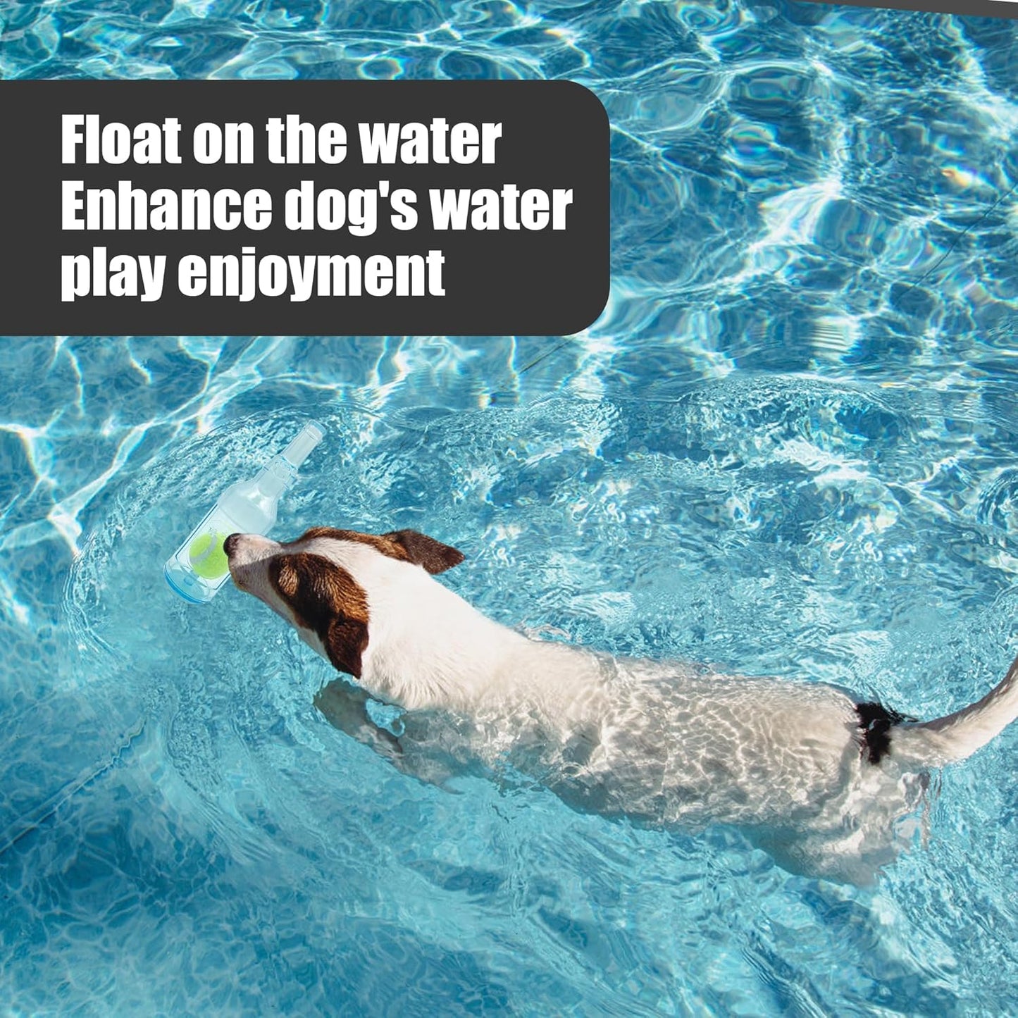 Dog Squeaky Floating Toy for Small Medium Large Dogs Training Fetch Indestructible Dog Chew Toys Indoor Pool Beach Outdoor Pet Supplies Blue S