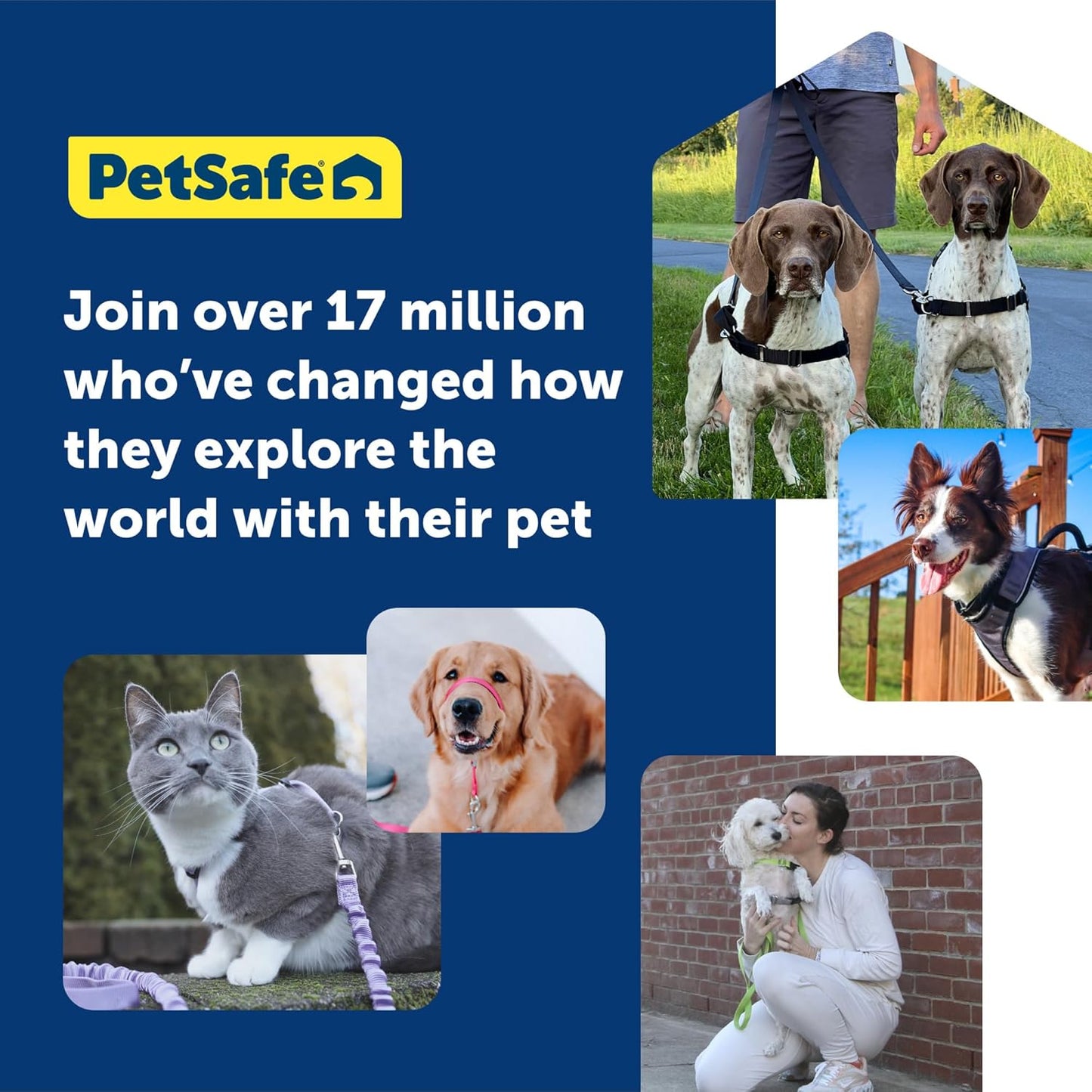PetSafe 3 in 1 Dog Harness - No Pull Solution for Dogs - Reflective Dog Harness - Front D-Ring Clip Helps Stop Pulling - Comfortable Padded Straps - Top Handle Enhances Control - Black - Small
