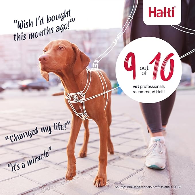 Halti No Pull Harness - Stop Your Dog Pulling on The Leash. Adjustable, Lightweight and Easy to Use. Reflective Dog Training Harness for Small Dogs (Size S, Cobalt Blue)