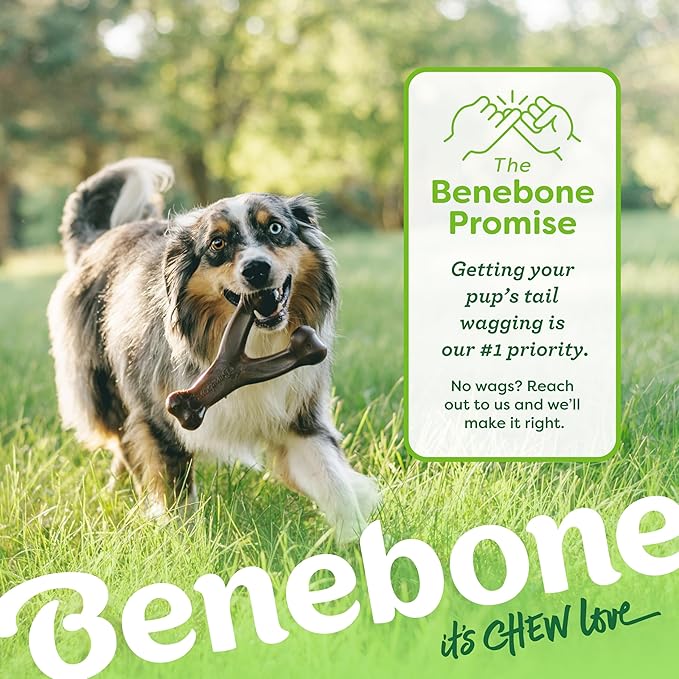 Benebone 2 Count (Pack of 1) Wishbone/Dental Durable Dog Chew Toys, Real Bacon, Made in USA, Small