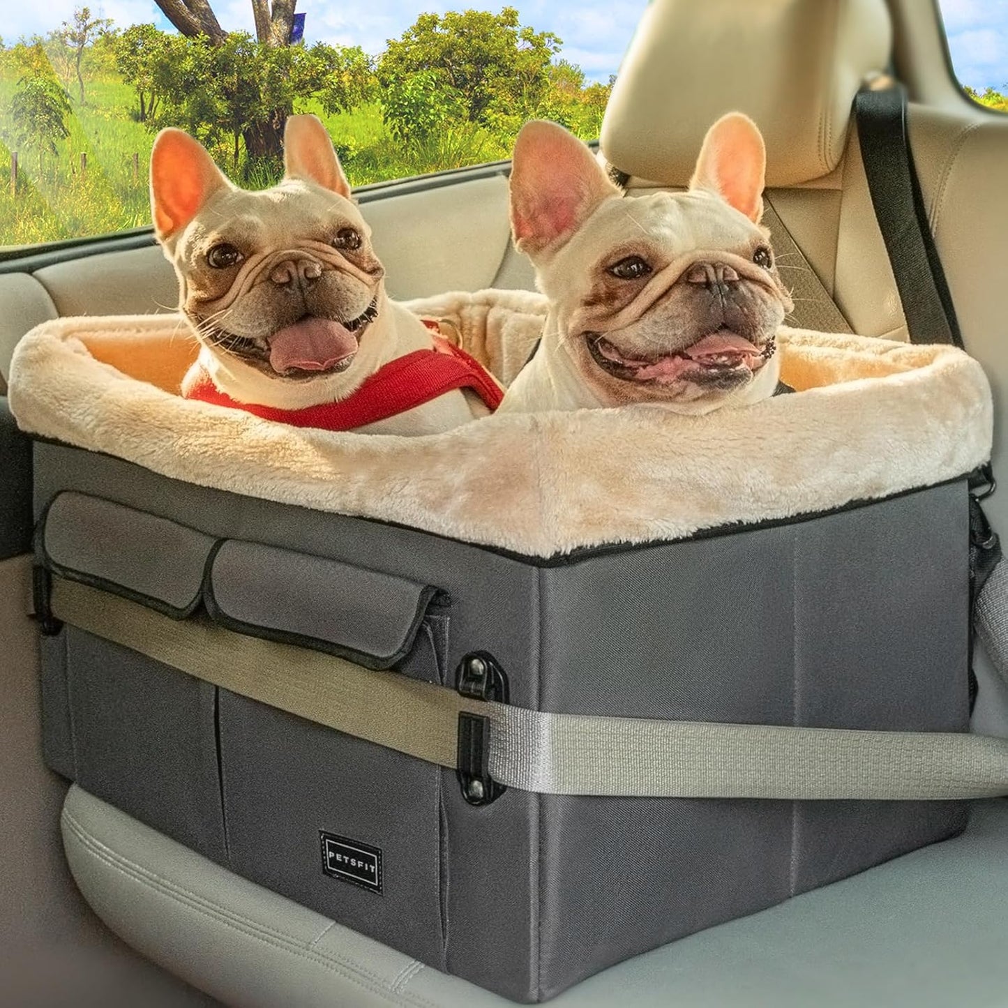 Petsfit Dog Car Seat for Medium Dogs or 2 Small Dogs, Upgraded Dog Booster Car Seat for Front and Back Seats with 2 Safety Leashes (Medium, Deep Grey)