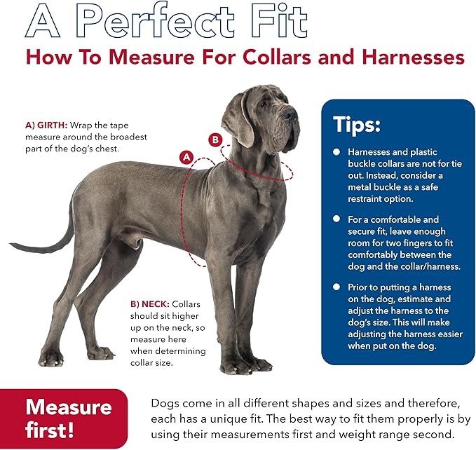 Coastal Pet K9 Explorer Reflective Adjustable Dog Collar - Comfortable Collar for The Outdoors - Durable, Lightweight Accessory with Side-Release Buckle - Rosebud, 5/8" x 10-14"