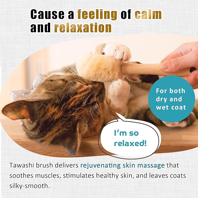 Cat Grooming Massage Tawashi Brush with Wood Handle Less Static Natural Sisal fiber Made in Japan (Type-B)
