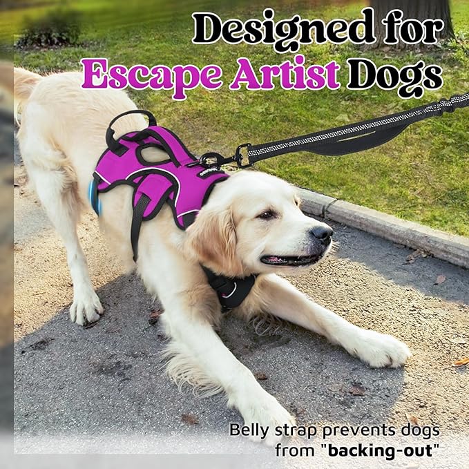 rabbitgoo Escape Proof Dog Harness, Soft Padded Full Body Pet Harness, Reflective Adjustable No Pull Vest with Lift Handle and Leash Clip for Large Dogs Walking Hiking Training, XL, Purple
